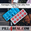 Kamagra 100Mg Oral Jelly How To Use new14